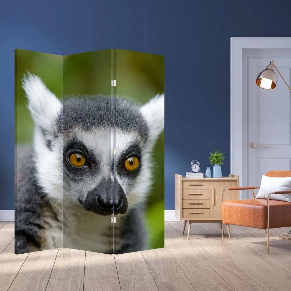 Parawan - Lemur (126x170 cm)