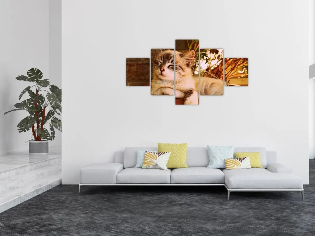 Obraz kota w doniczce (125x70 cm)