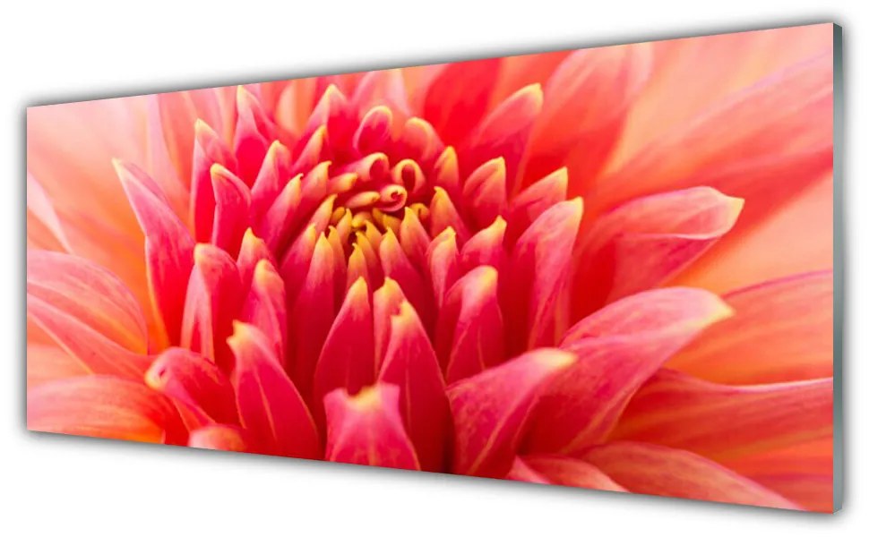 Obraz Szklany Kwiat Roślina Natura