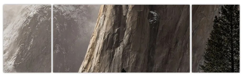 Zdjęcie z Parku Narodowego Yosemite Valley, USA (170x50 cm)