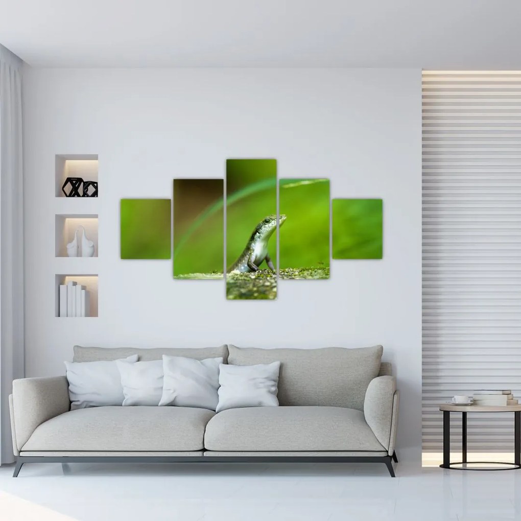 Obraz jaszczurki (125x70 cm)