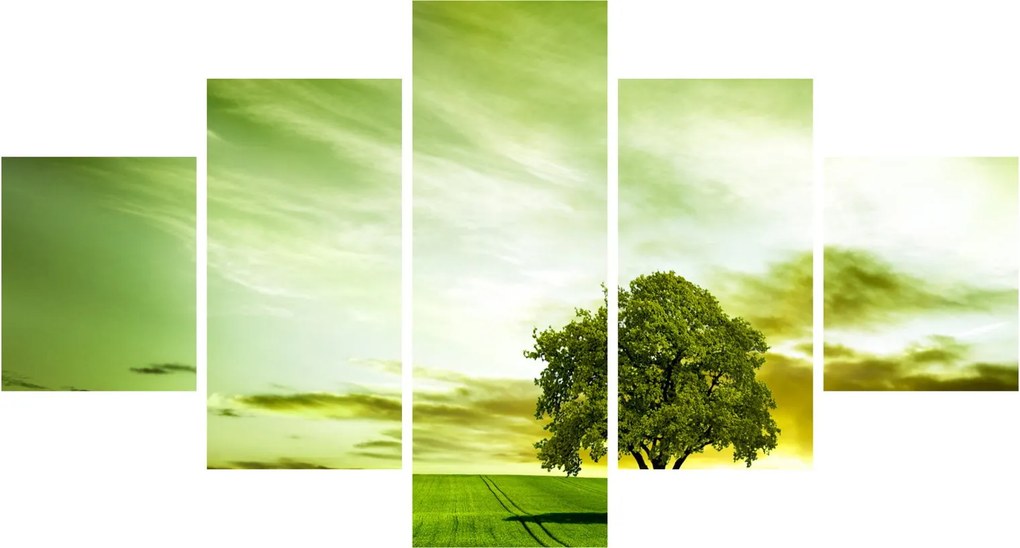 Obraz - Drzewo życia (125x70 cm)