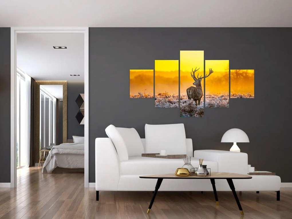 Obraz - Jeleń o wschodzie słońca (125x70 cm)
