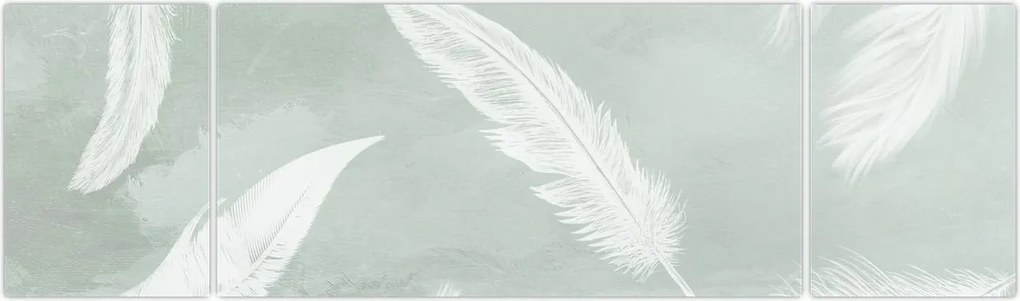 Obraz - Białe pióra (170x50 cm)