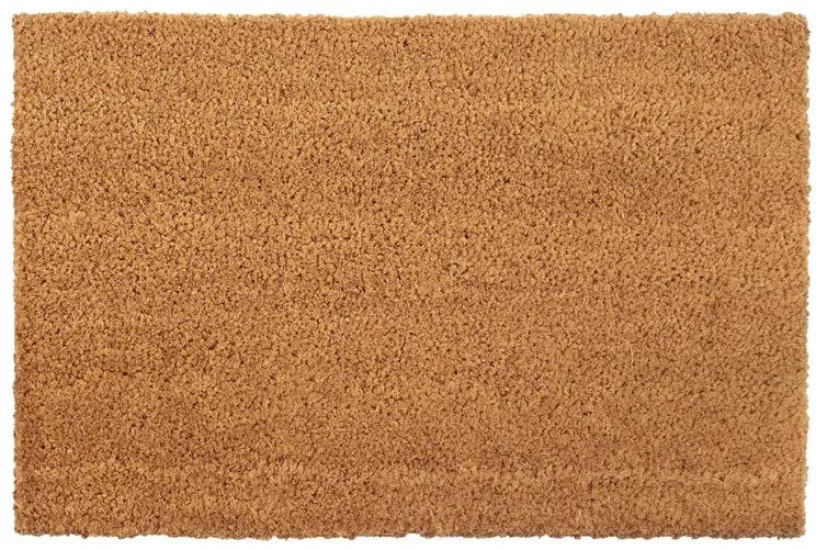 Prostokątna wycieraczka antypoślizgowa 40x60 cm N5-F86