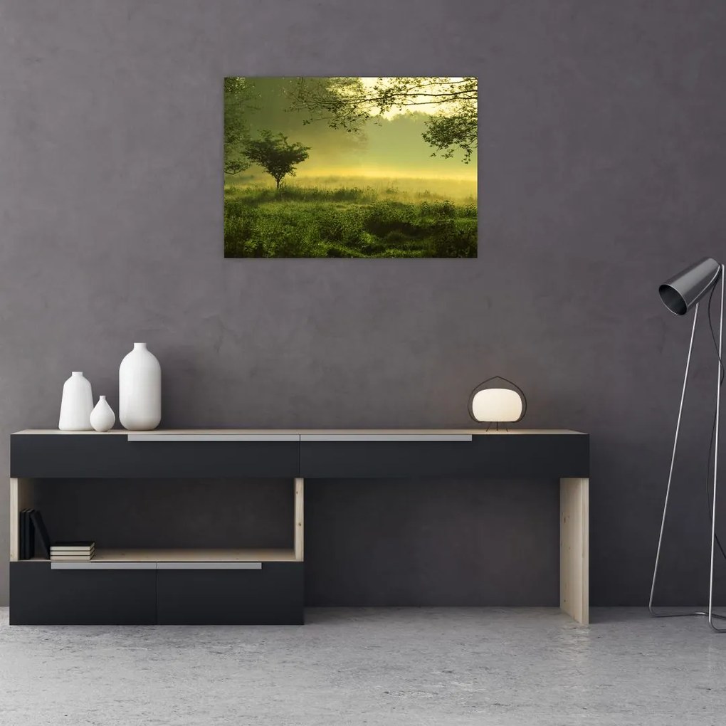 Obraz - Budzący się las (70x50 cm)