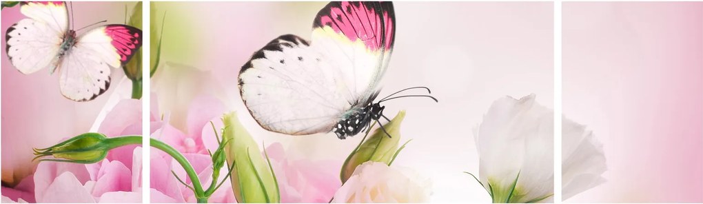 Obraz - Motyl (170x50 cm)