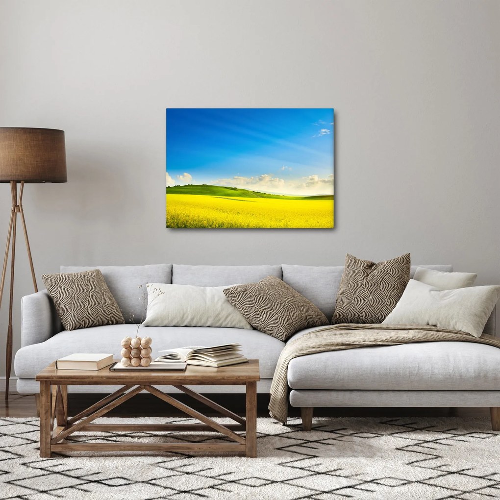 Obraz - Wiosenne niebo (70x50 cm)