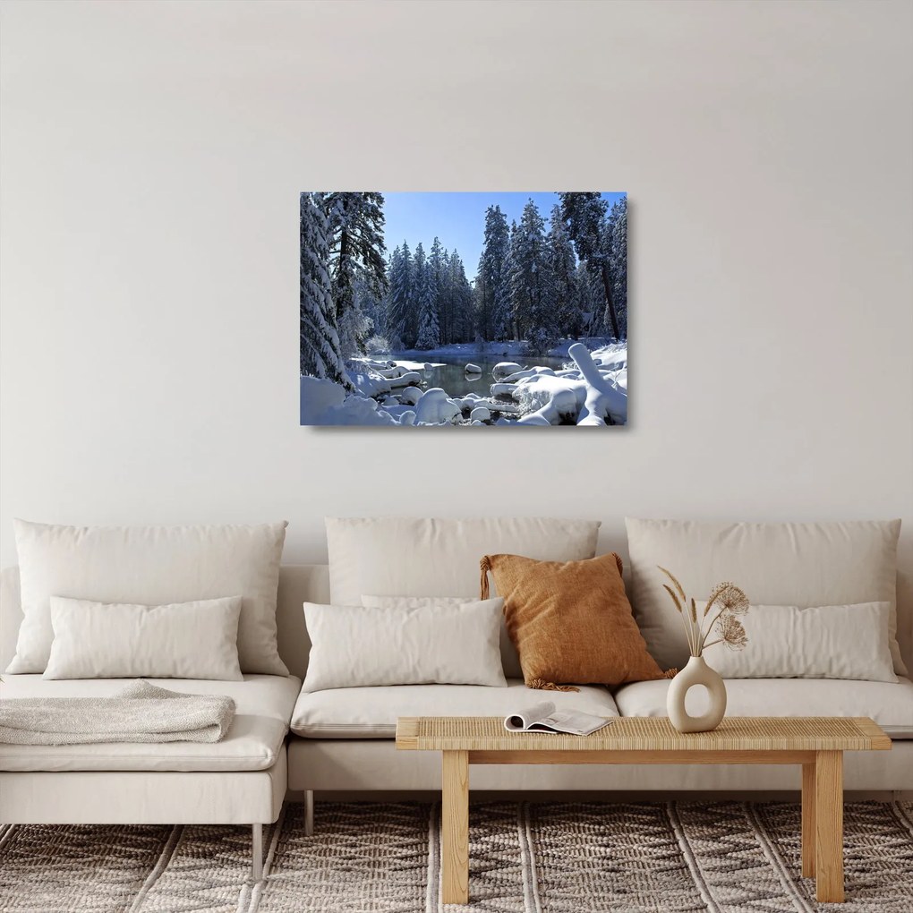 Obraz na szkle - śnieżny las (70x50 cm)