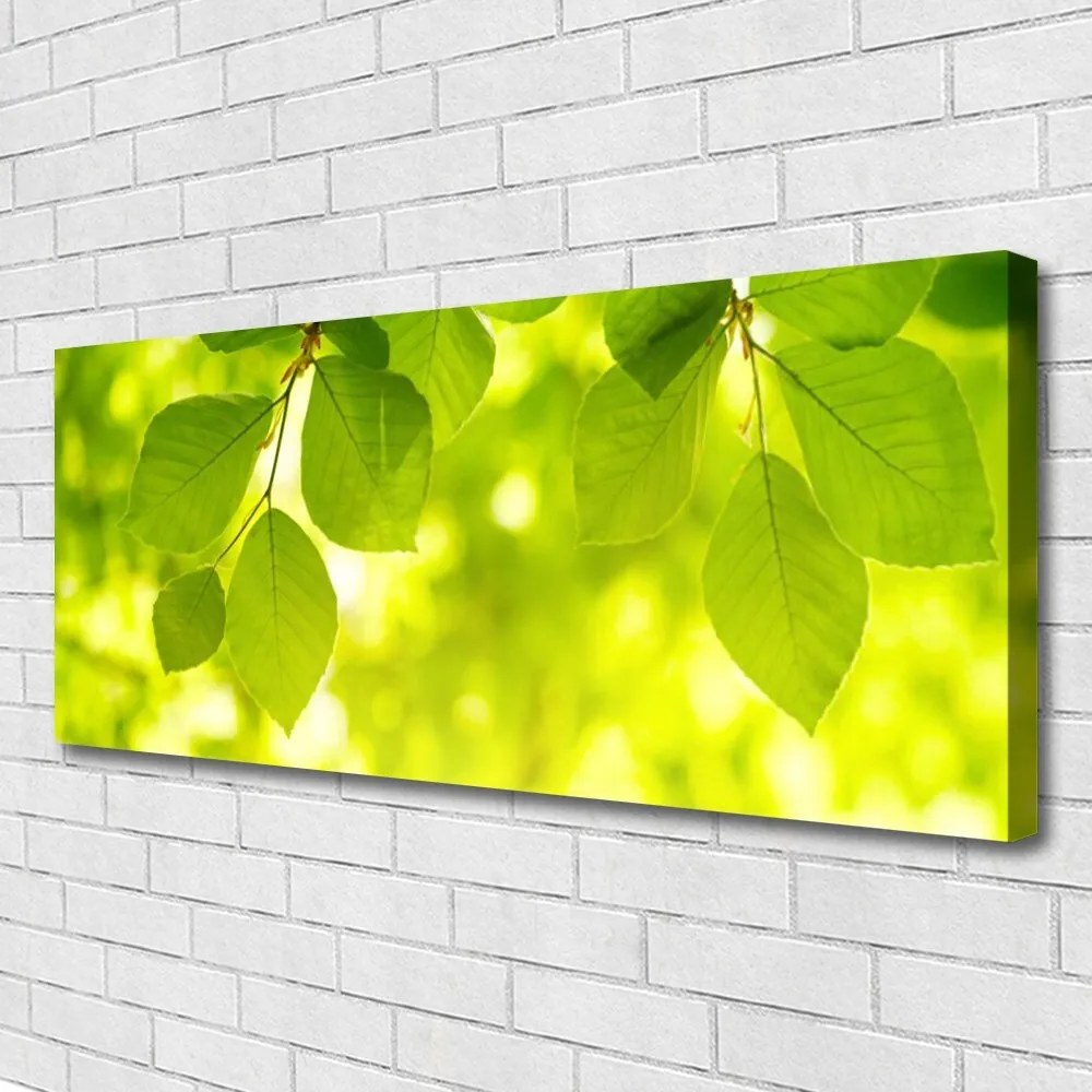 Obraz na płótnie Zielone Liście w Stylu Modern