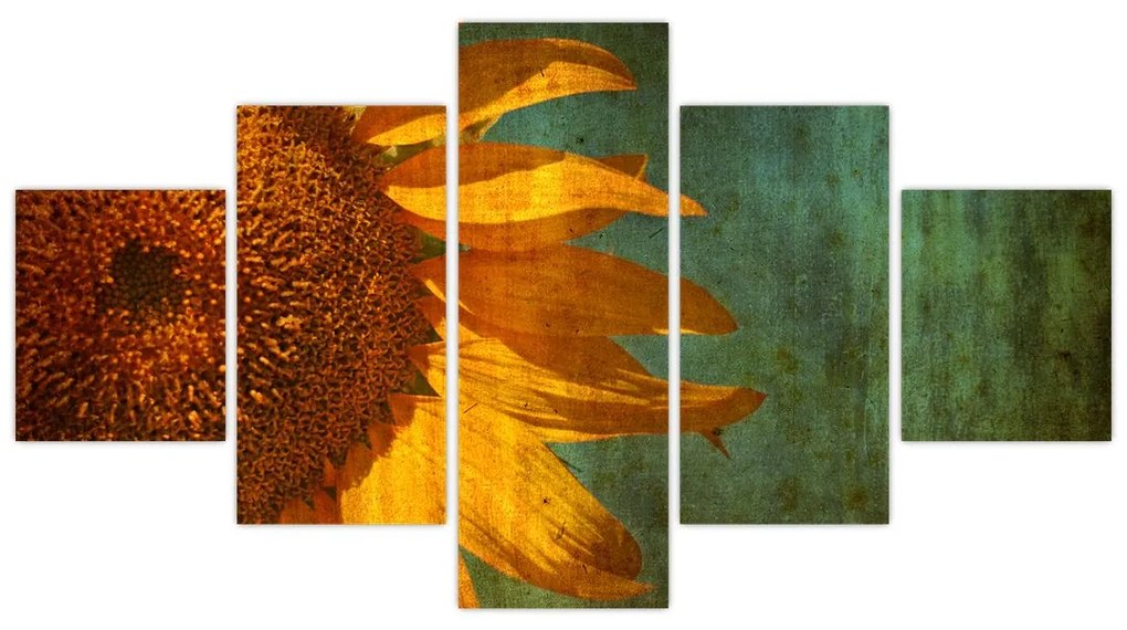 Obraz - Słonecznik (125x70 cm)