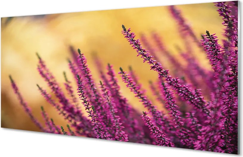 Szklany Panel Świeże Kwiaty Ogrodowe