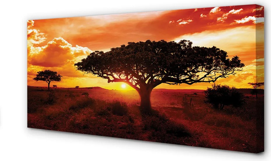 Obraz na płótnie Drzewa i Chmury o Zachodzie