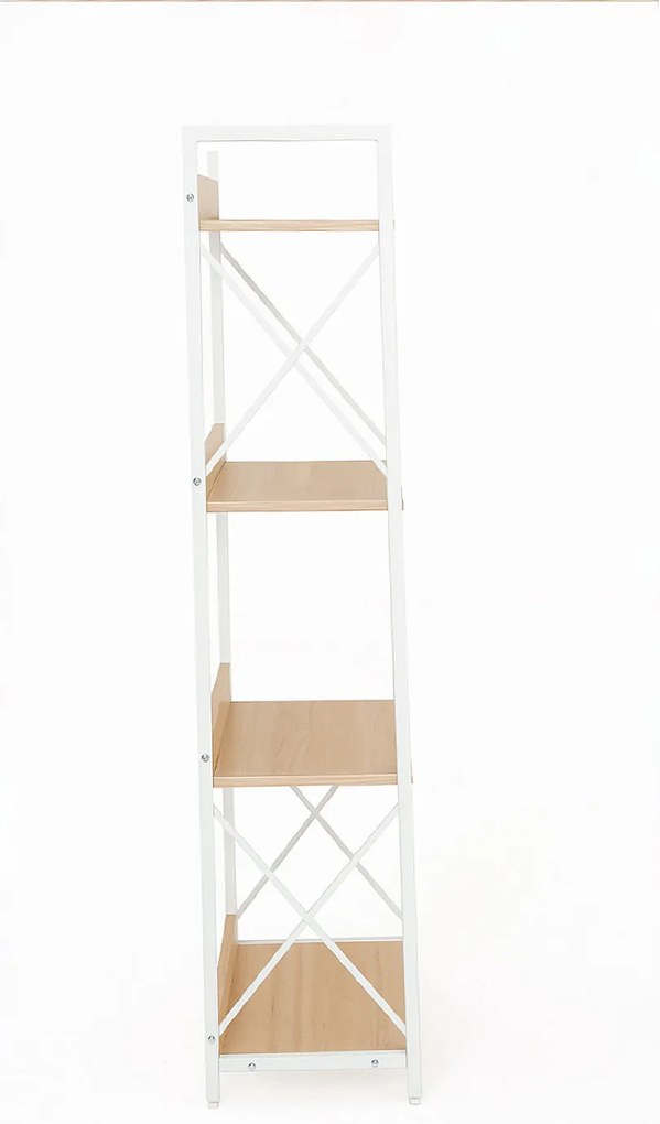 Rega Lesly z 4 pókami