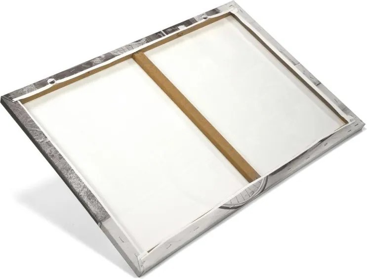 Obraz poinsecja, 40 x 60 cm