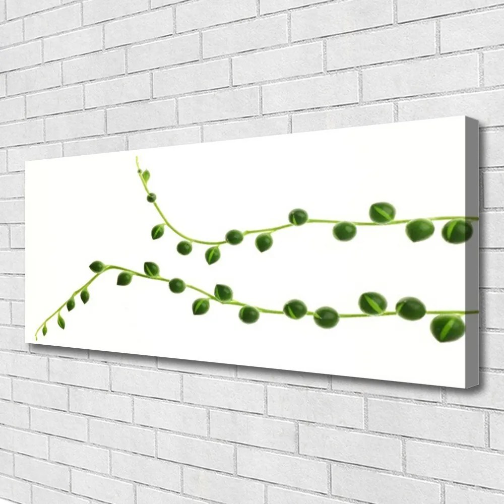 Zdjęcie na płótnie Stylowa Roślina Dekoracyjna