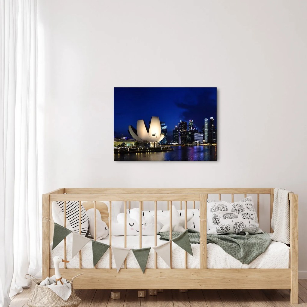 Obraz Singapuru nocą (70x50 cm)