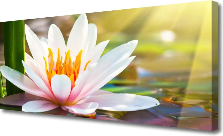 Obraz na płótnie Pełnia Letniego Rozkwitu