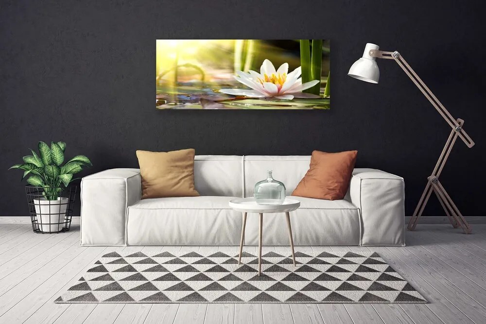 Fotoobraz na płótnie Pływająca Lilia Wodna