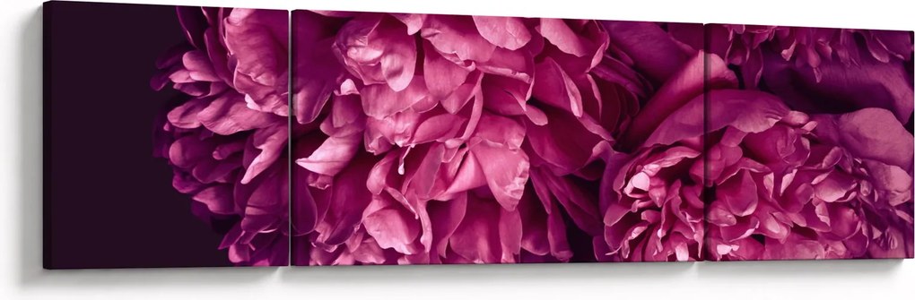 Obraz - Kwiaty piwonii (170x50 cm)