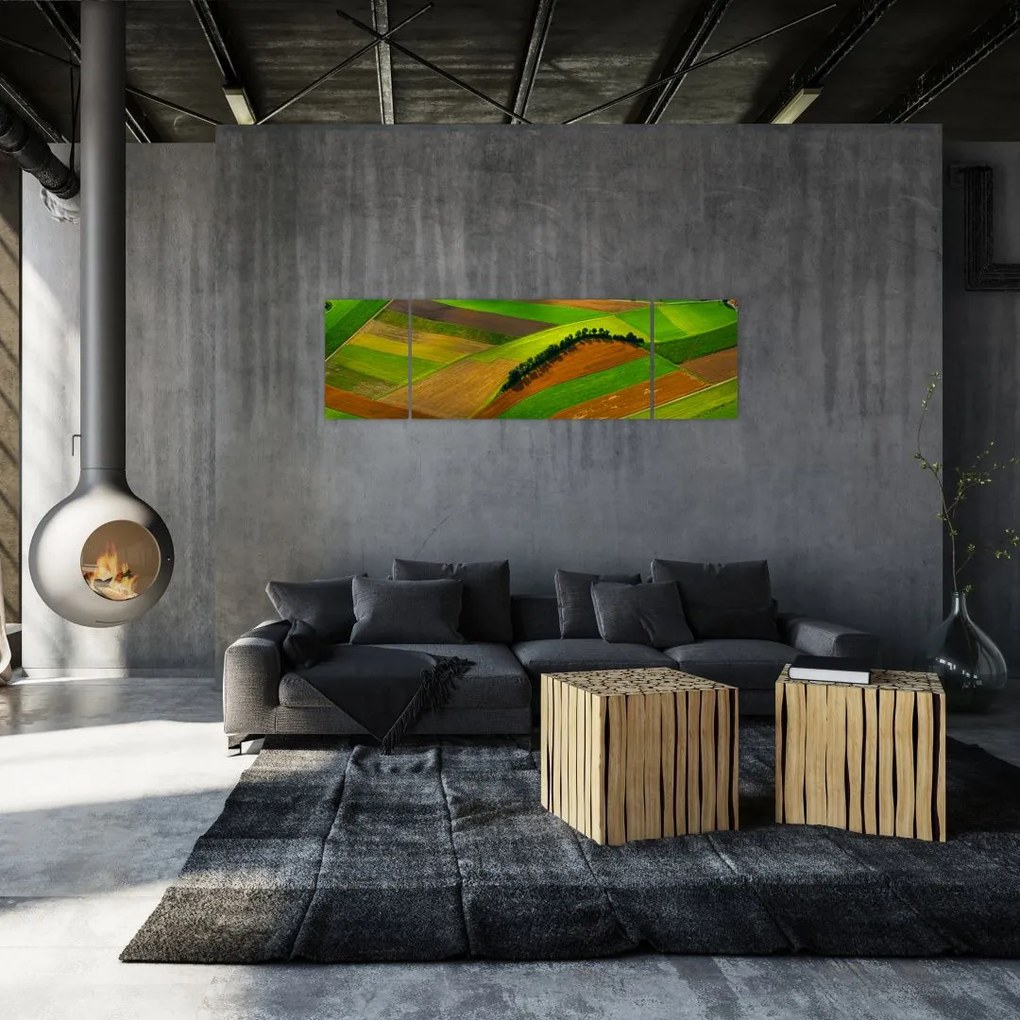 Obraz - Pola, łąki (170x50 cm)