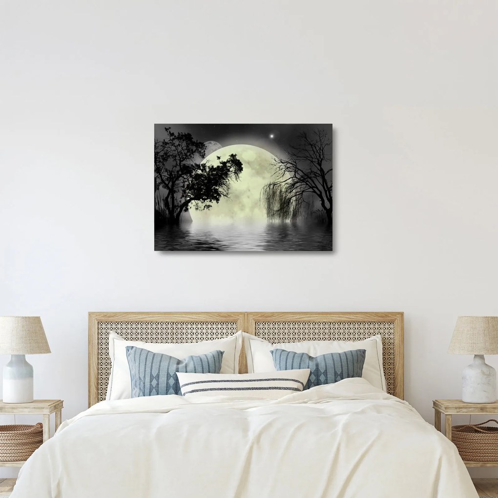 Obraz na szkle - Księżyc w pełni nad powierzchnią, wersja czarno - biała (70x50 cm)
