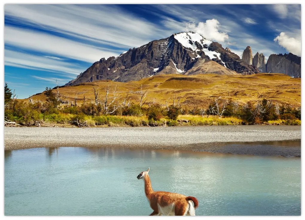 Obraz - Park Narodowy Torres del Paine (70x50 cm)