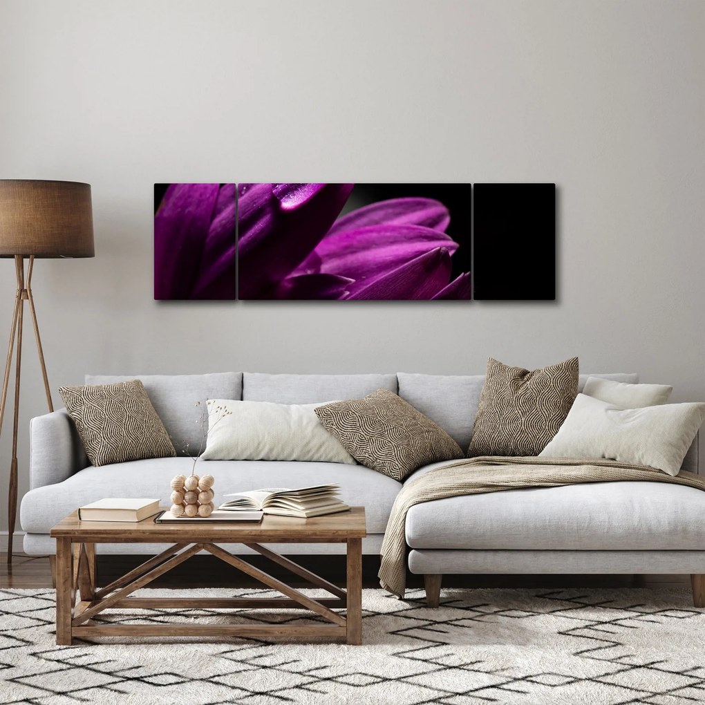 Obraz - Kropla wody (170x50 cm)