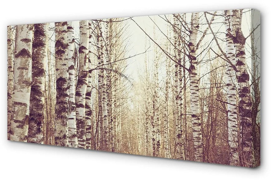 Obraz drukowany na płótnie Drzewa