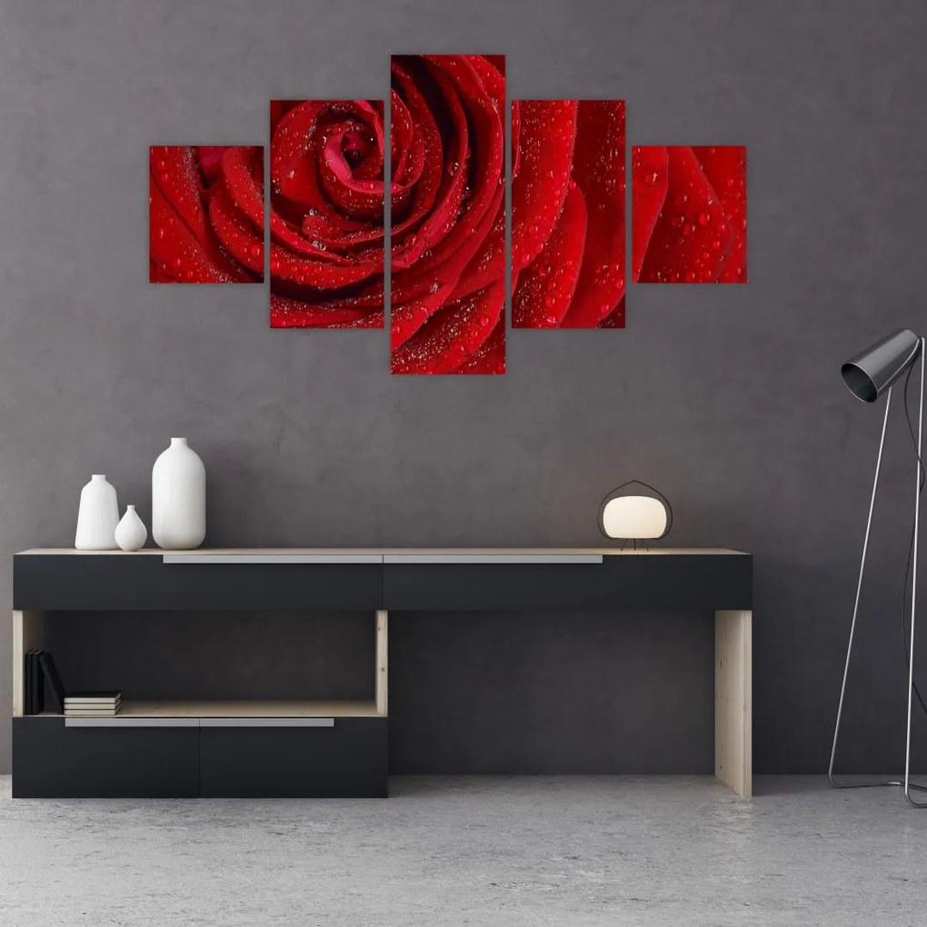 Obraz - szczegół róży (125x70 cm)