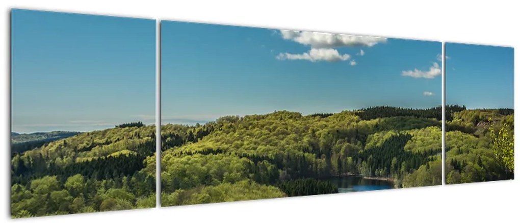 Obraz - Jezioro w lesie (170x50 cm)