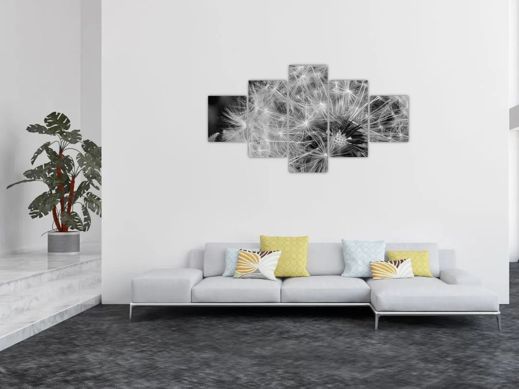 Obraz - nasiona dmuchawca (125x70 cm)