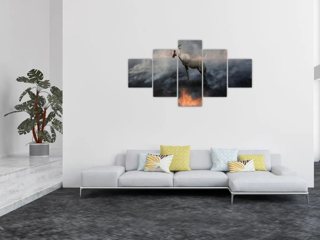 Obraz kozicy w płomieniach (125x70 cm)
