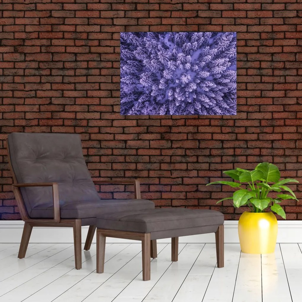 Obraz ośnieżonych drzew (70x50 cm)