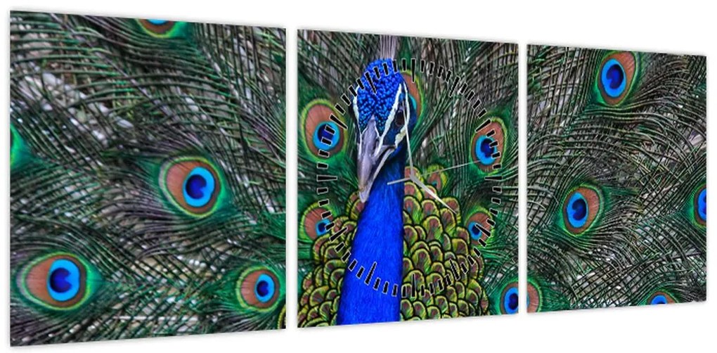 Obraz - Paw (z zegarem) (90x30 cm)