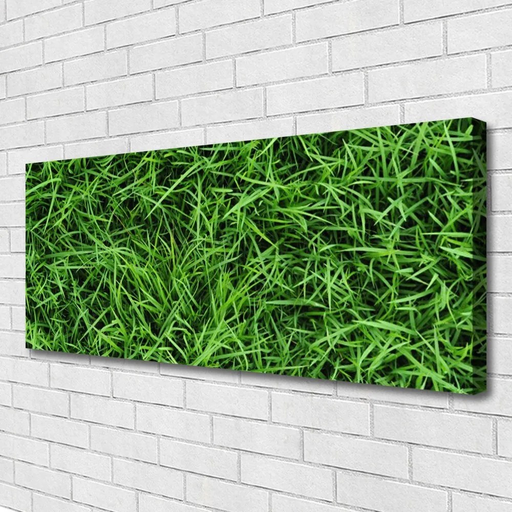 Zdjęcie na płótnie Soczysta Zielona Trawa