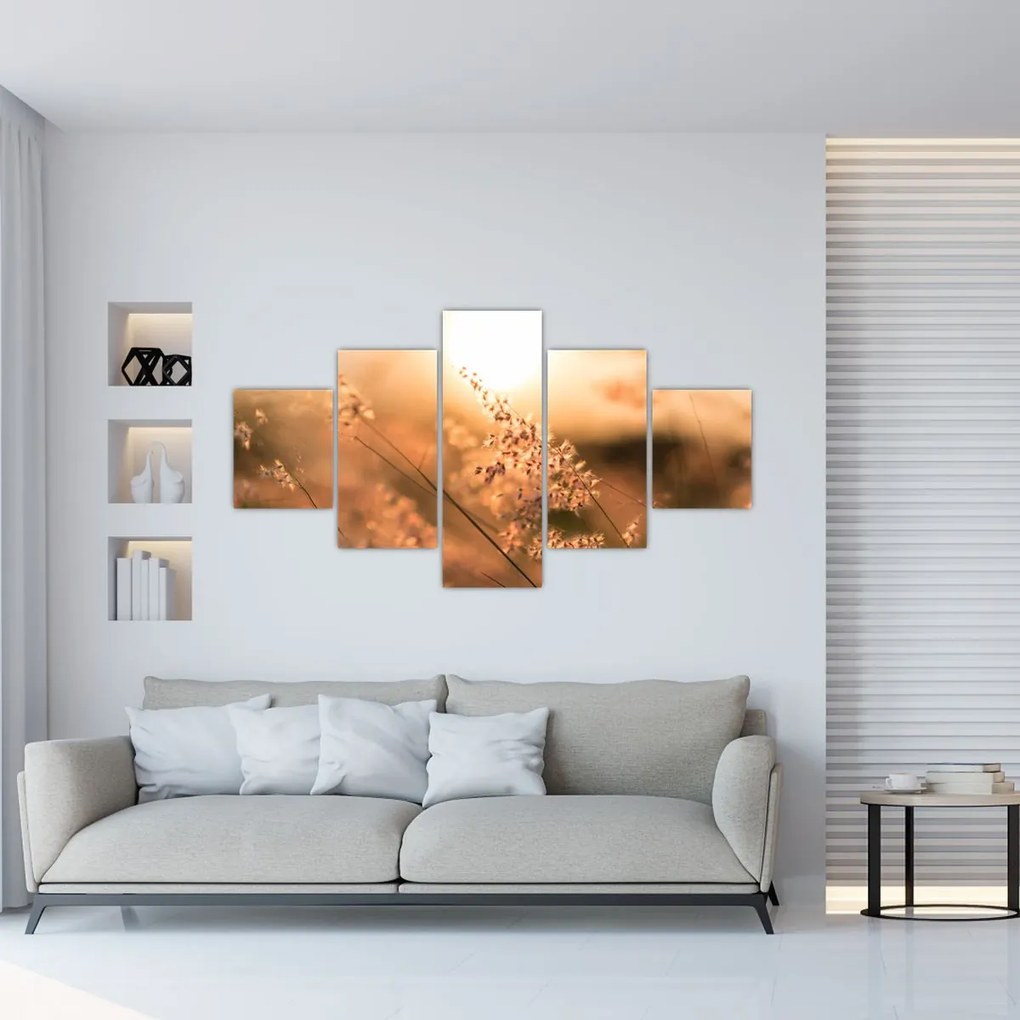 Obraz - Trawa  na słońcu (125x70 cm)