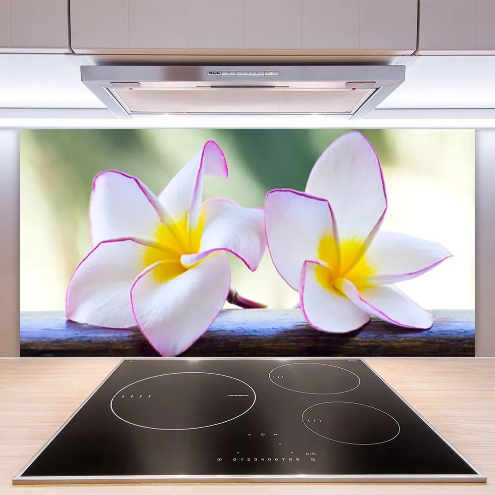 Panel Szklany Egzotyczny Kwiat Plumerii