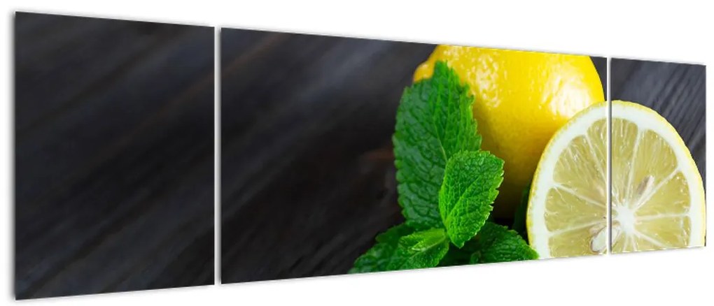 Obraz cytryn i mięty na stole (170x50 cm)
