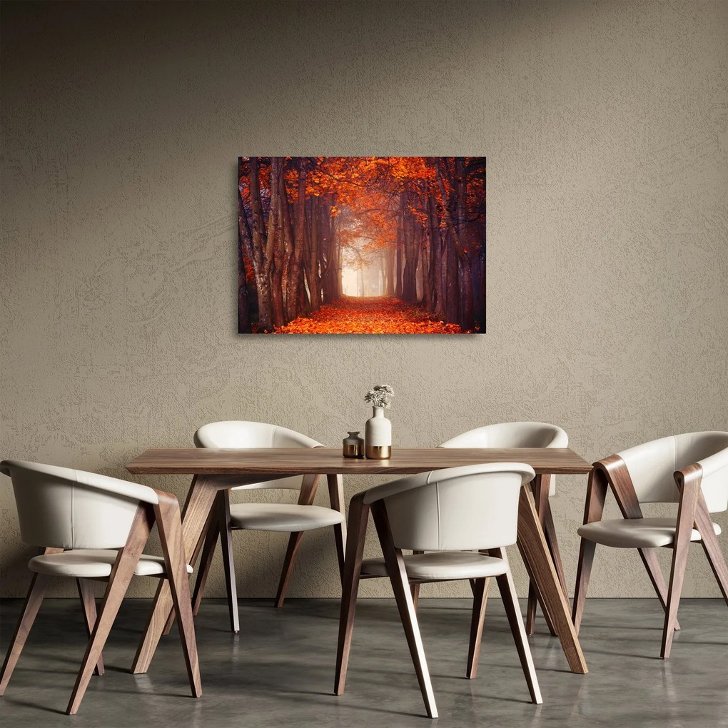 Obraz na szkle - Jesienny las (70x50 cm)