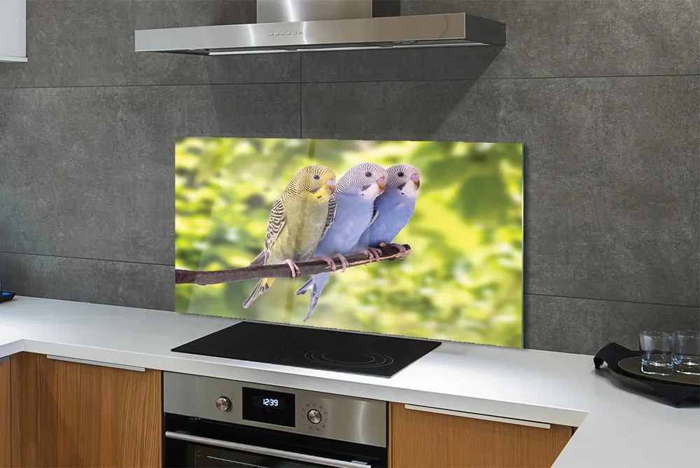 Panel Szklany Tropikalna Para na Drzewie