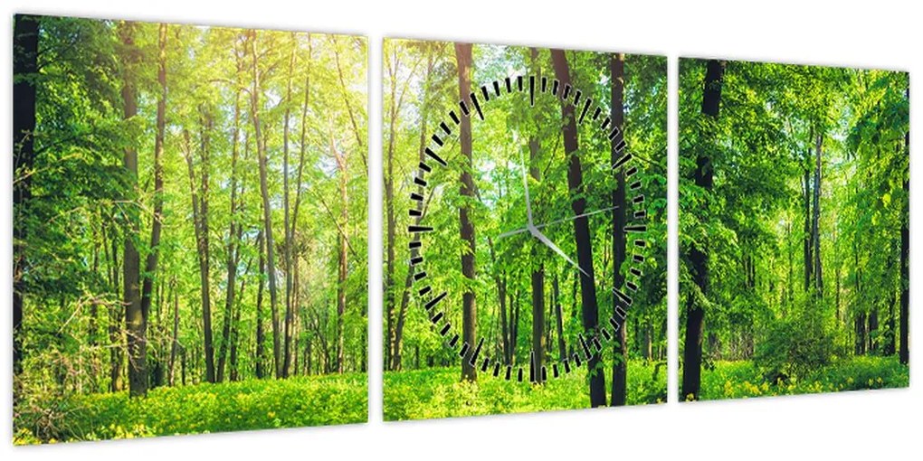 Obraz - Wiosenny las liściasty (z zegarem) (90x30 cm)