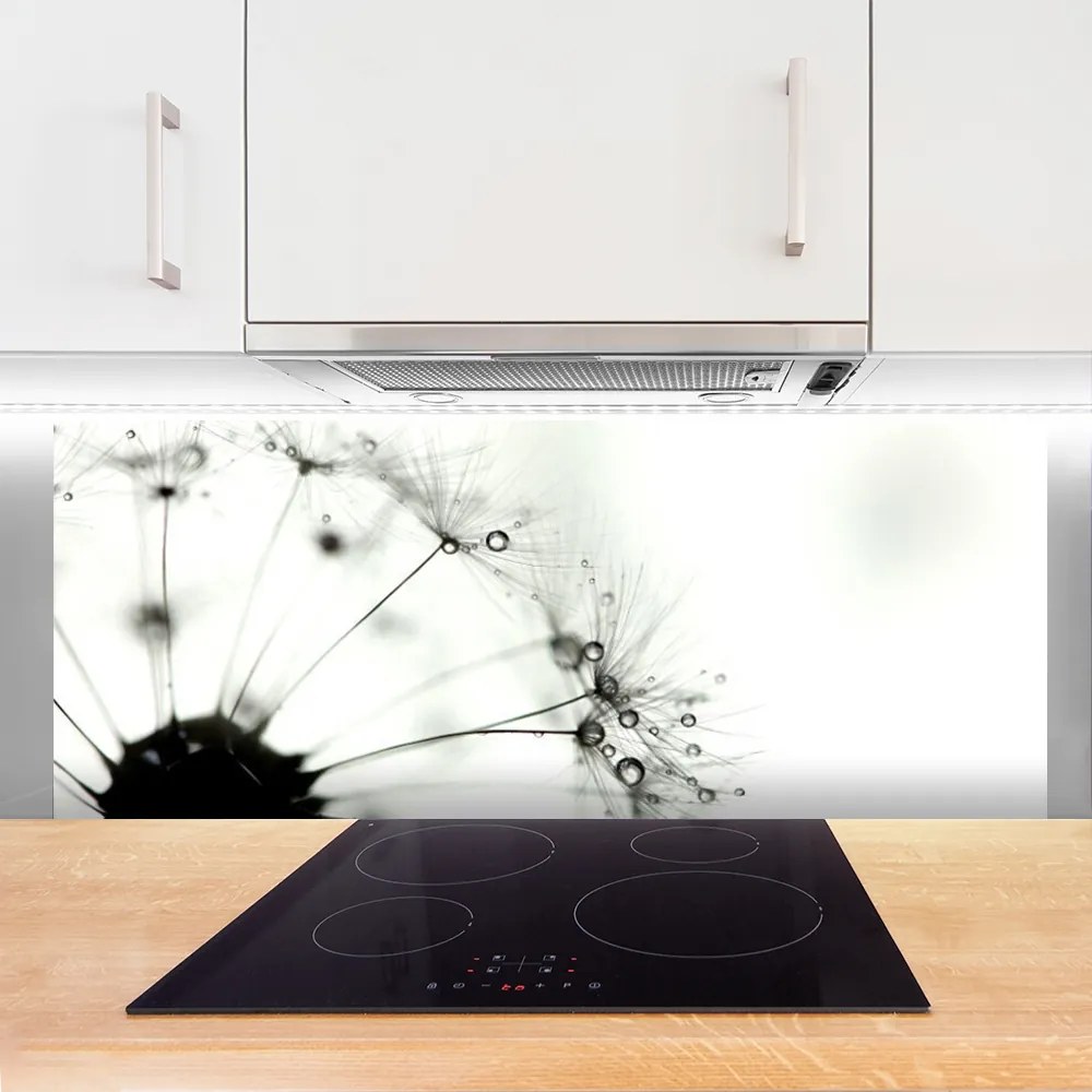 Panel Kuchenny Puszysta Kula Mniszka