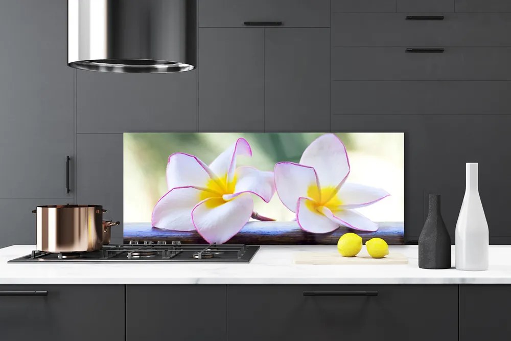 Panel Szklany Egzotyczny Kwiat Plumerii