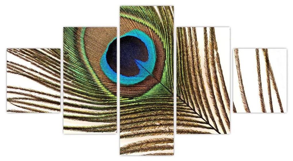Obraz pawich piór (125x70 cm)