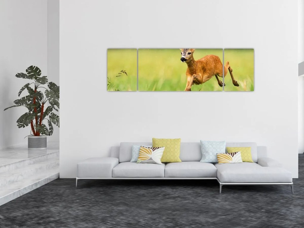 Obraz - Sarna (170x50 cm)
