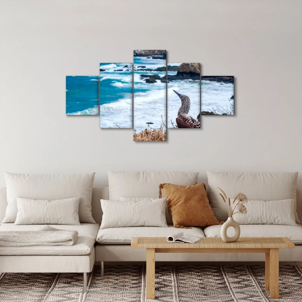 Obraz - głuptak niebieskonogi (125x70 cm)