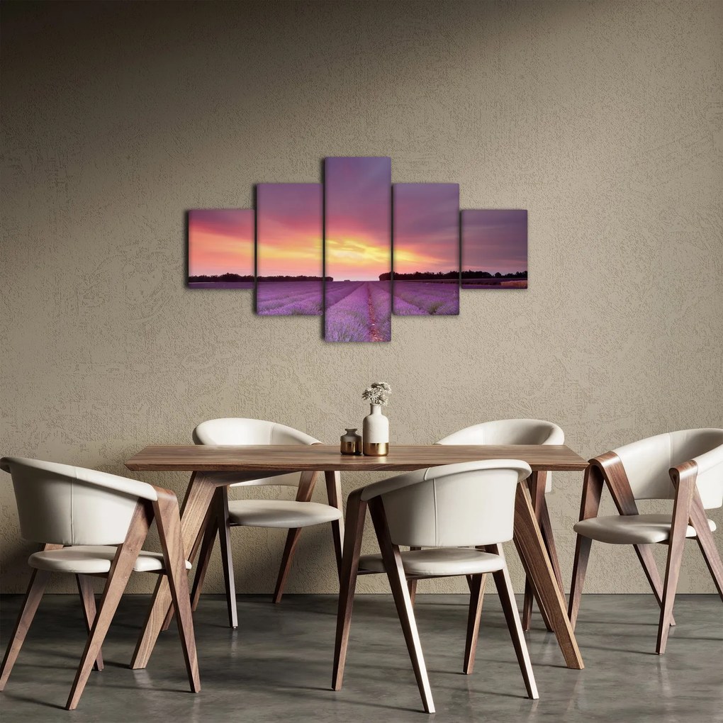 Obraz - Pole lawendy (125x70 cm)