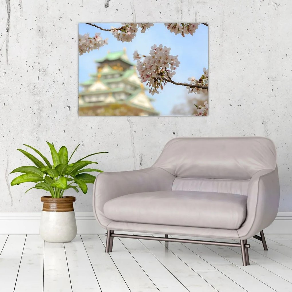 Obraz - Sakura (70x50 cm)