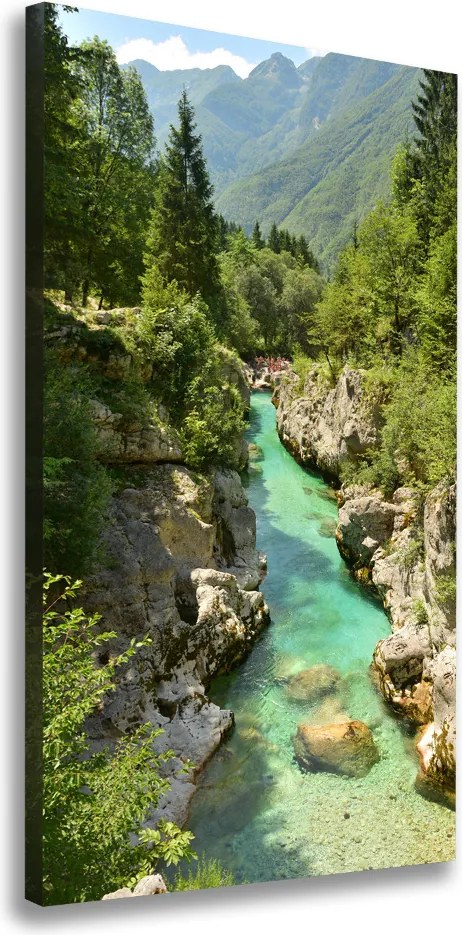 Foto obraz canvas pionowy Potok górski